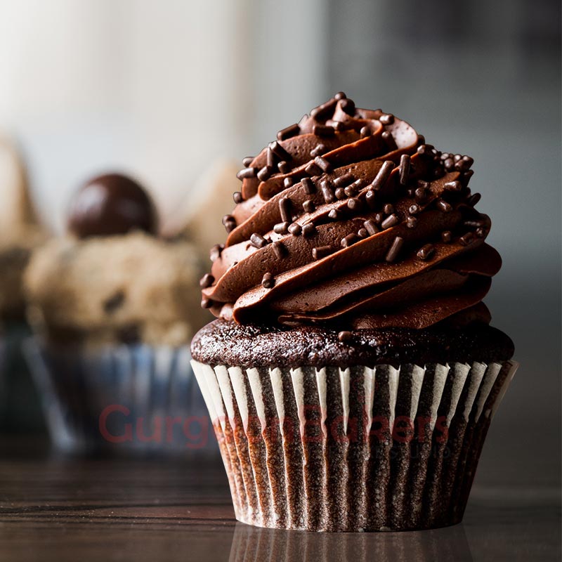 chocolate cupcakes